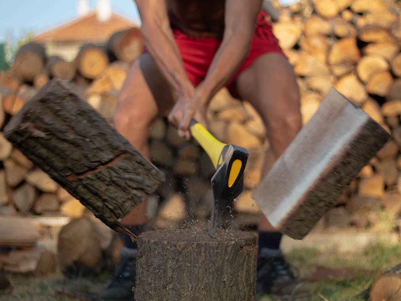 The Steps Involved in Our Tree Care Process in Dexter, GA